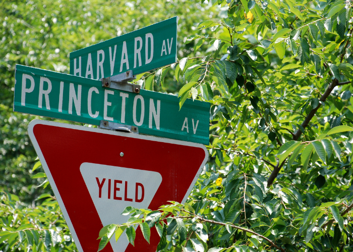 amerika lisans eğitimi